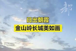 半岛直播平台官网截图1